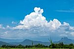 Trees And Mountains On A Bright Sky stock photo