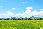 Trees And Mountains On A Bright Sky stock photo