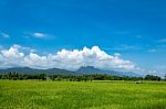 Trees And Mountains On A Bright Sky stock photo