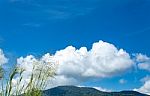 Trees And Mountains On A Bright Sky stock photo