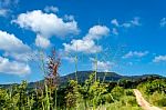 Trees And Mountains On A Bright Sky stock photo