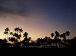 Tropical Dawn With Palms Stock Photo