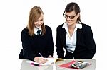 Tutor Assisting The Student In Homework Stock Photo