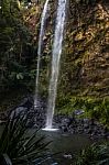 Twin Falls Waterfall Located In Springbrook National Park Stock Photo