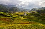 Valley With Rive Paddy Fields Stock Photo