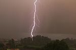 Vertical Lightning At Trees Stock Photo