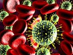 Virus And Blood Cells  Stock Photo