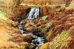 Waterfall And Snowdrops At  Dawyck Botanic Garden Scotland Stock Photo