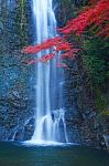 Waterfall With Maple Stock Photo