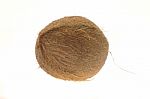 Whole Coconut Stock Photo