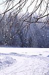 Winter Time In Countryside, Snowing, Road And Forest Background Stock Photo