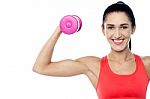 Woman In Gym Working Out With Dumbbell Stock Photo