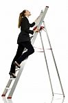 Woman On A Ladder