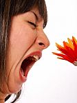 Woman With An Allergy Smelling A Flower Stock Photo