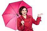 Woman With An Umbrella Reaches Out To See If Its Raining Stock Photo