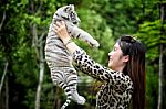Women Hold Baby White Bengal Tiger Stock Photo