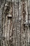 Wood Pattern Abstract Stock Photo
