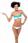Young Woman In Bikini On A White Background Stock Photo