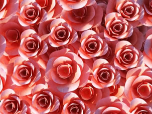 Reds and pinks
