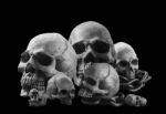 Skull With A Black And White Image Stock Photo