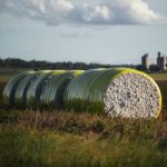 Bales Of Cotton In Oakey, Queensland Stock Photo