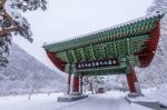 Naejangsan In Winter With Falling Snow Stock Photo