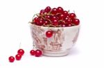 Tasty Red Currant Berries Stock Photo