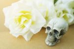 Still Life Of Love Human Skull With Rose Flower Stock Photo