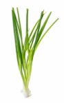 Green Onion Isolated On The White Background Stock Photo