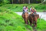 Chiang Mai,thailand - November 13, 2015:elephants And Mahouts, While Escorting Tourists To Ride Elephants Along The River In  Mae Wang Stock Photo