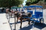 Mijas, Andalucia/spain - July 3 : Donkey Taxi In Mijas Andalucia Stock Photo