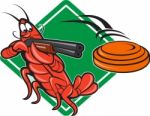 Crayfish Lobster Target Skeet Shooting Stock Photo