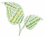 Biodiversity Word Indicating Plant Life And Verdure Stock Photo