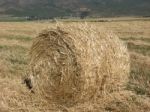 Hay Billet Close-up Stock Photo