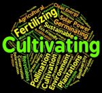 Cultivating Word Represents Grows Sowing And Sow Stock Photo