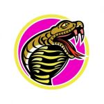 King Cobra Snake Mascot Stock Photo