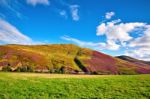 Colorful Landscape Scenery Of Pentland Hills Slope Covered By Vi Stock Photo