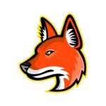 Dhole Or Asiatic Wild Dog Mascot Stock Photo