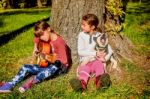 Little Girl Playing Guitare In The Park With Husky Puppy Singing Stock Photo