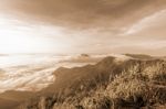 Landscape In Vintage Sepia Color Style Stock Photo