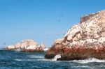 Ballestas Islands, Paracas National Reserve - "galapagos Of Peru Stock Photo
