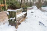 Wooden Bench In Forest With Snow Stock Photo