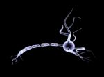 3d Neuron Cell Stock Photo