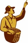 Fruit Picker Worker Pointing Woodcut Stock Photo