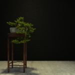 Bonsai Plants 3d Rendering Stock Photo