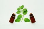 Mint Essential Oil In A Glass Bottle With Leaves Stock Photo