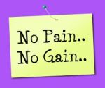 No Pain Gain Represents Making It Happen And Success Stock Photo