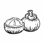 Line Drawing Of Mangosteen -simple Line  Stock Photo