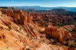Sun Kissed Hoodoos And Pine Trees In Bryce Canyon Stock Photo