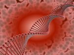 Dna Red Stock Photo